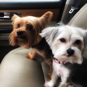 Meet your Posher, Julie